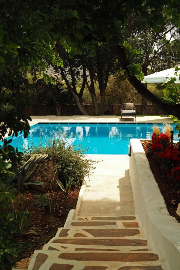 Villa Oasis With Large Pool Athenian Riviera Lagonissi Lagonisi Bagian luar foto